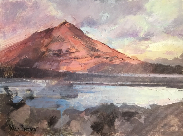 paint artist las palmas